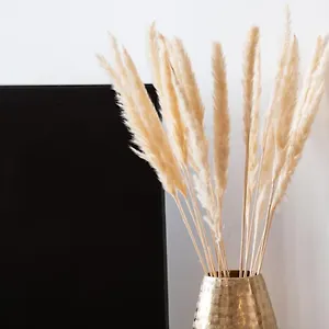 La Sépia - Superbe Confort Au Coeur Du Vieux Appartement